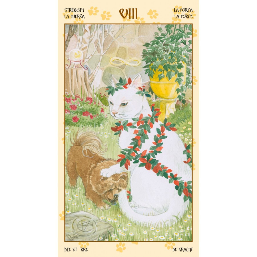 Bộ Bài Tarot of Pagan Cats (Mystic House Tarot Shop)