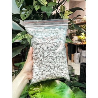 Đá Trân Châu Perlite Master Premium (Túi 1 lit)
