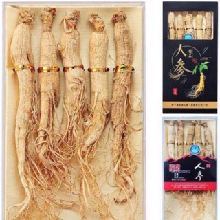 Hộp 5 củ nhân sâm núi Trường Bạch cao cấp