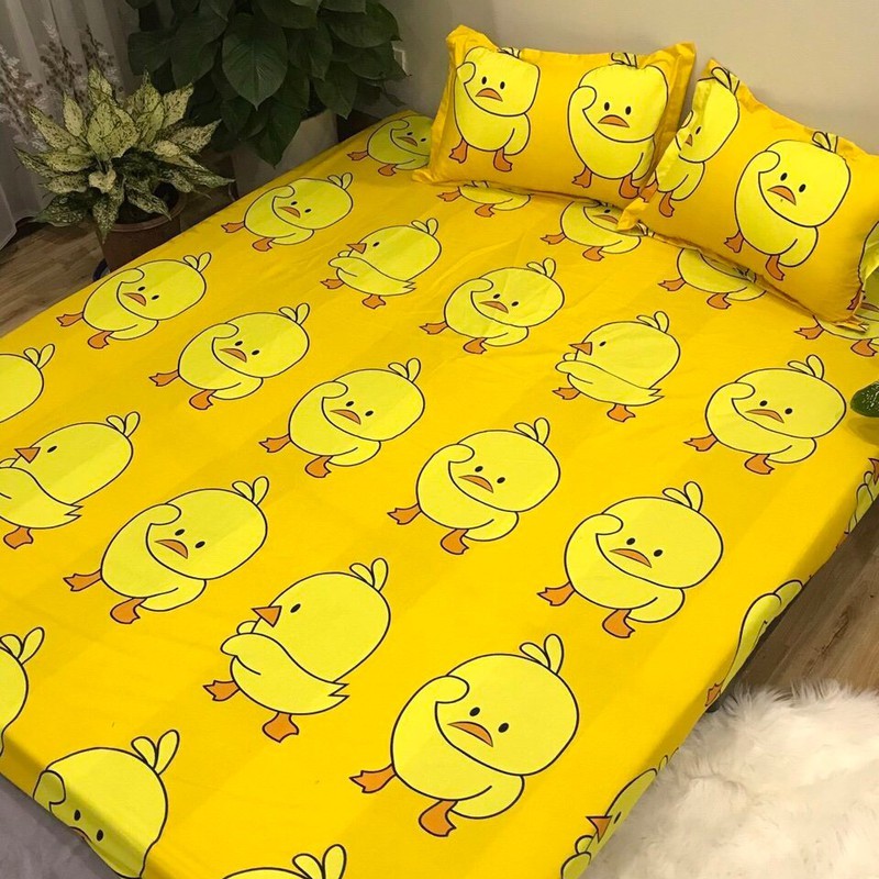 Bộ chăn ga kèm 2 vỏ gối m2 m6  m8 2m2  chất poly cotton (Chat chọn mẫu)