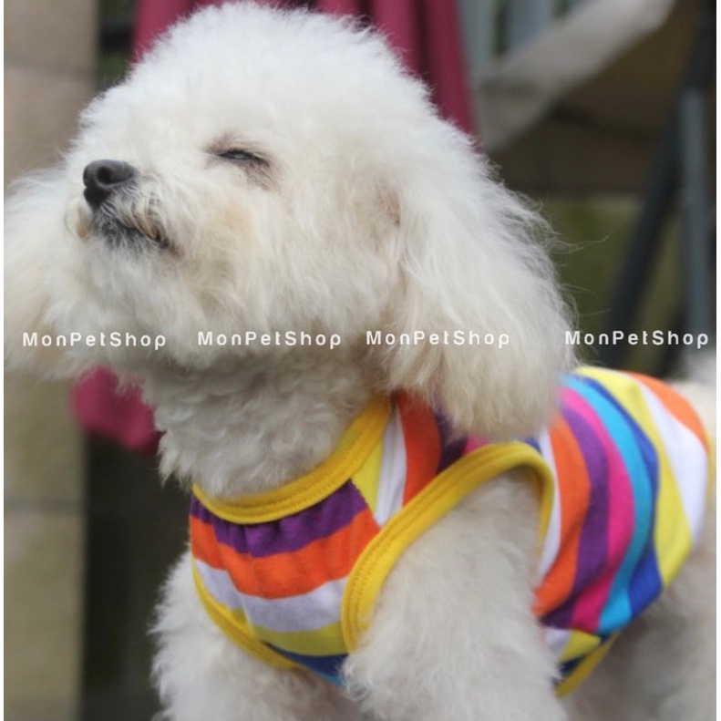 [Xả hàng] Áo ba lỗ sắc màu cho thú cưng