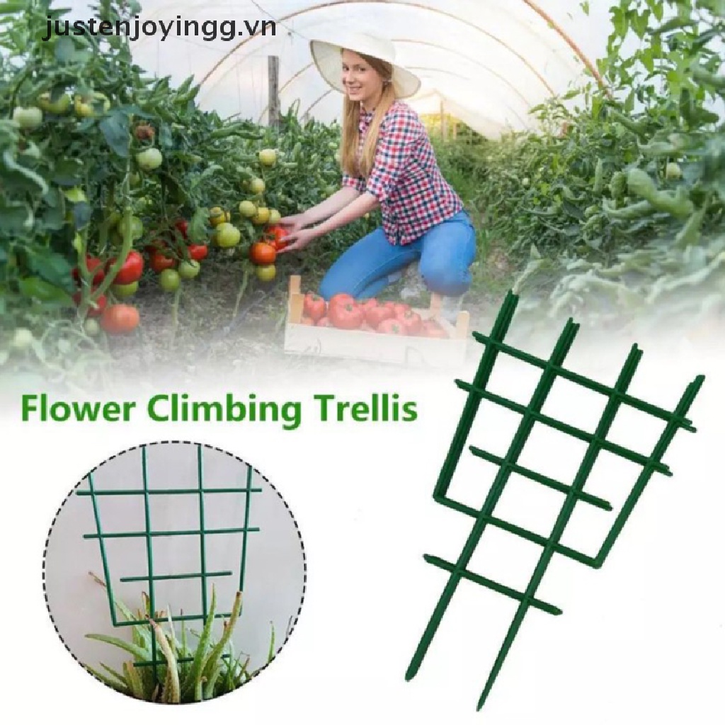 Bộ 2 Dụng Cụ Hỗ Trợ Cà Chua Tiện Dụng