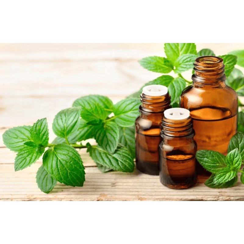 DẦU TẨY TRANG DƯỠNG DA LÁ  BẠC HÀ  NHÀ BỘT