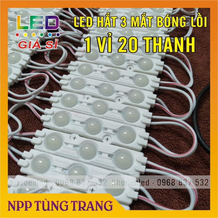 Led hắt 3 bóng mắt lồi điện 12V ( vỉ 20 bóng) loại siêu sáng | BigBuy360 - bigbuy360.vn