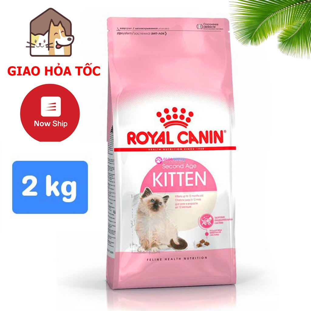 Hạt Royal Canin Kitten - Thức Ăn Hạt Dành Cho Mèo Con