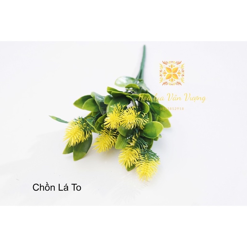 Hoa giả_cành điểm, cành chồn lá to