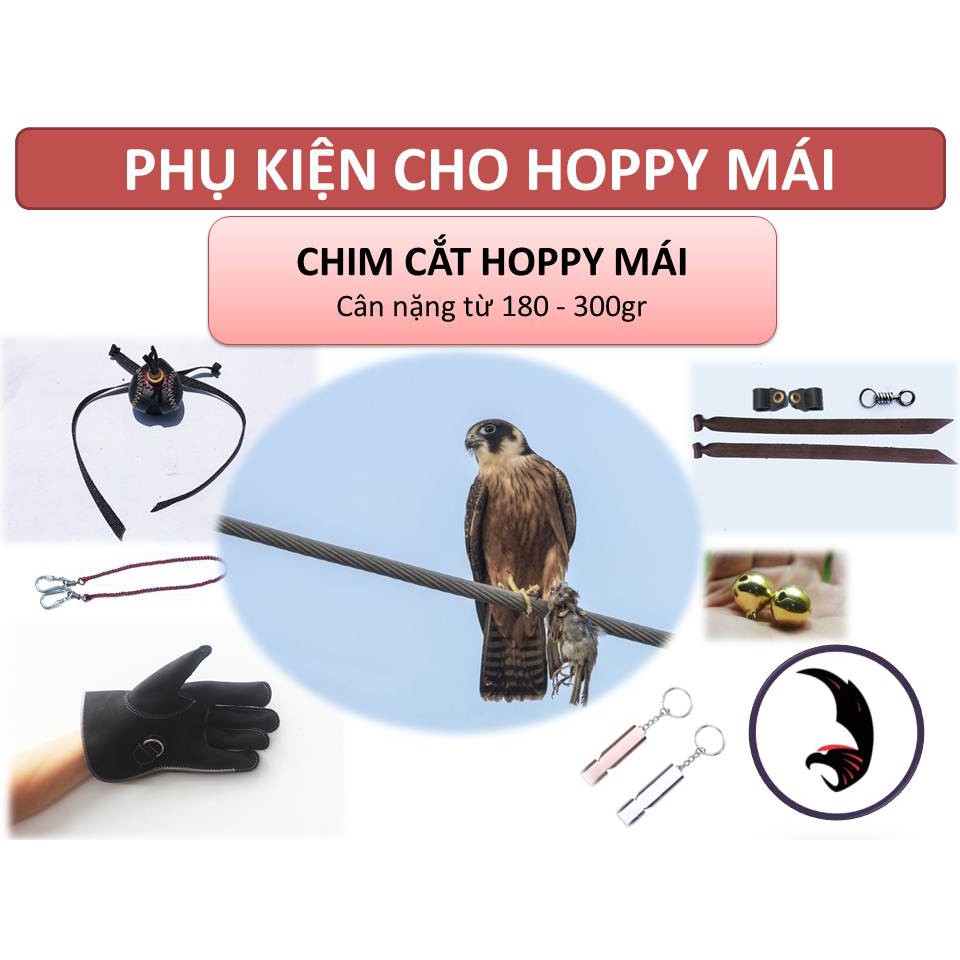 PHỤ KIỆN CHO CHIM CẮT HOPPY TRỐNG VÀ MÁI