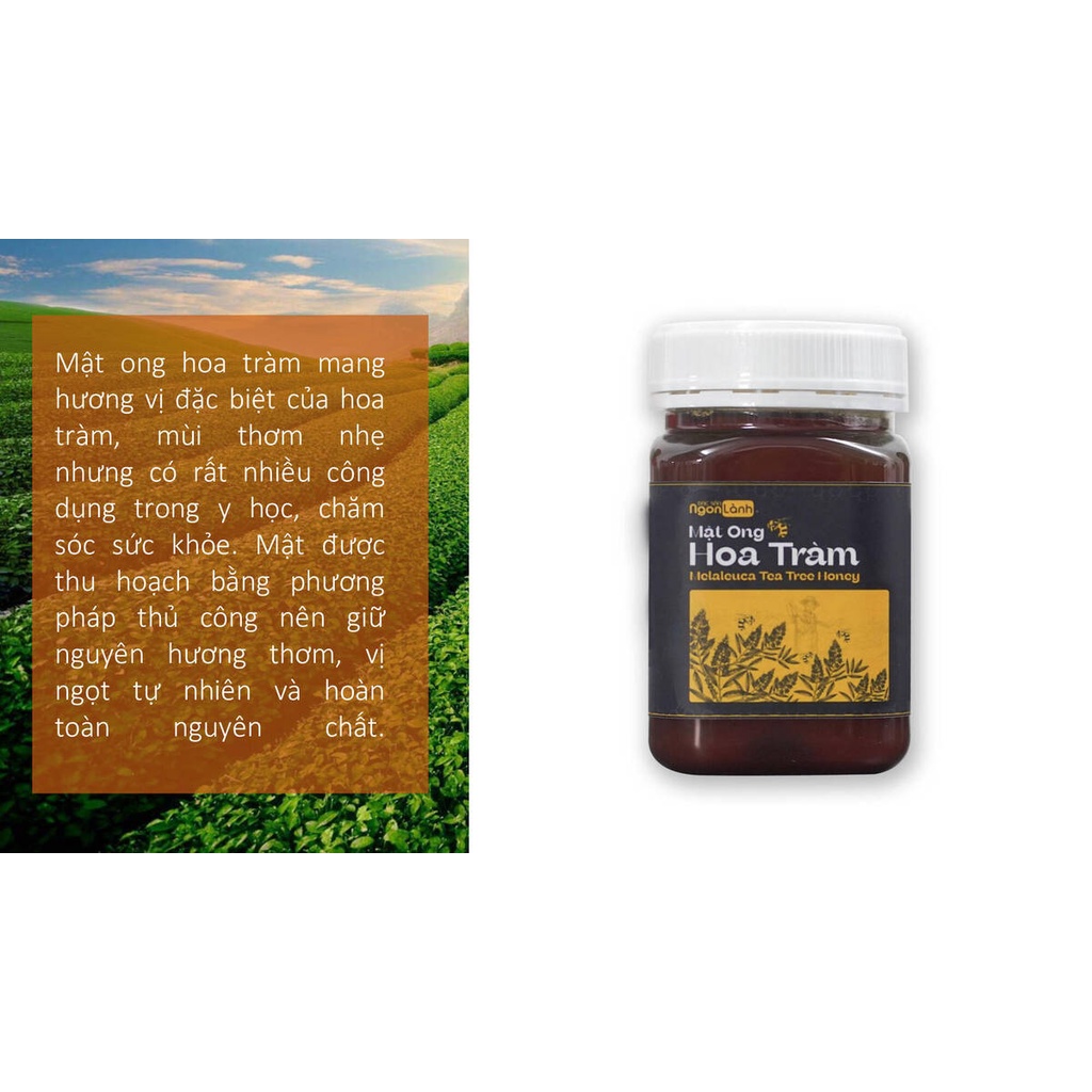 Mật Ong Nguyên Chất Hoa Tràm - Hũ 500ml - Đặc Sản Ngon Lành