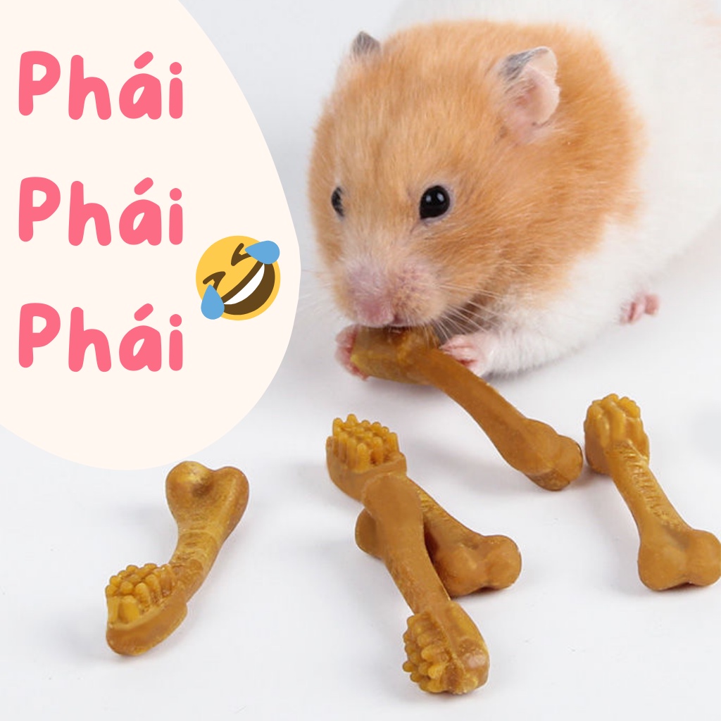 Mài răng hamster chiết lẻ 1c JONSANTY vị thit bò thơm ngon