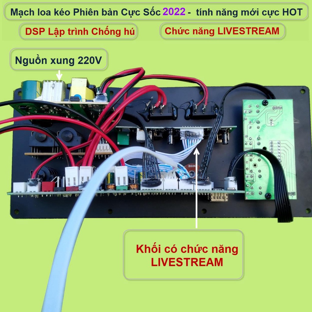 Mạch loa kéo LIVESTREAM DSP lập trình chống hú IC CS8676 công suất 60W – 120W có nguồn xung - guitar điện