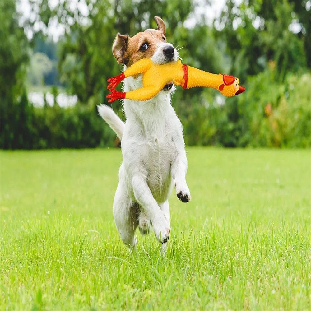 LAYOR1 Đồ Chơi GàO ThéT Vui NhộN BằNg Cao Su Cho Thú Cưng