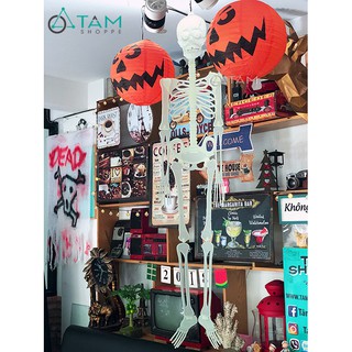 Bộ xương dạ quang phát sáng trong đêm nhiều cỡ TAN