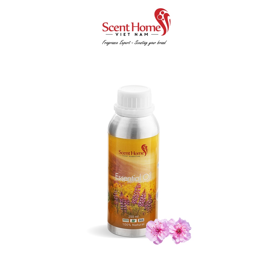[Chính hãng] Tinh dầu Peach Blossoms - ScentHomes (Peach Blossoms - 50ml,100ml,250ml)