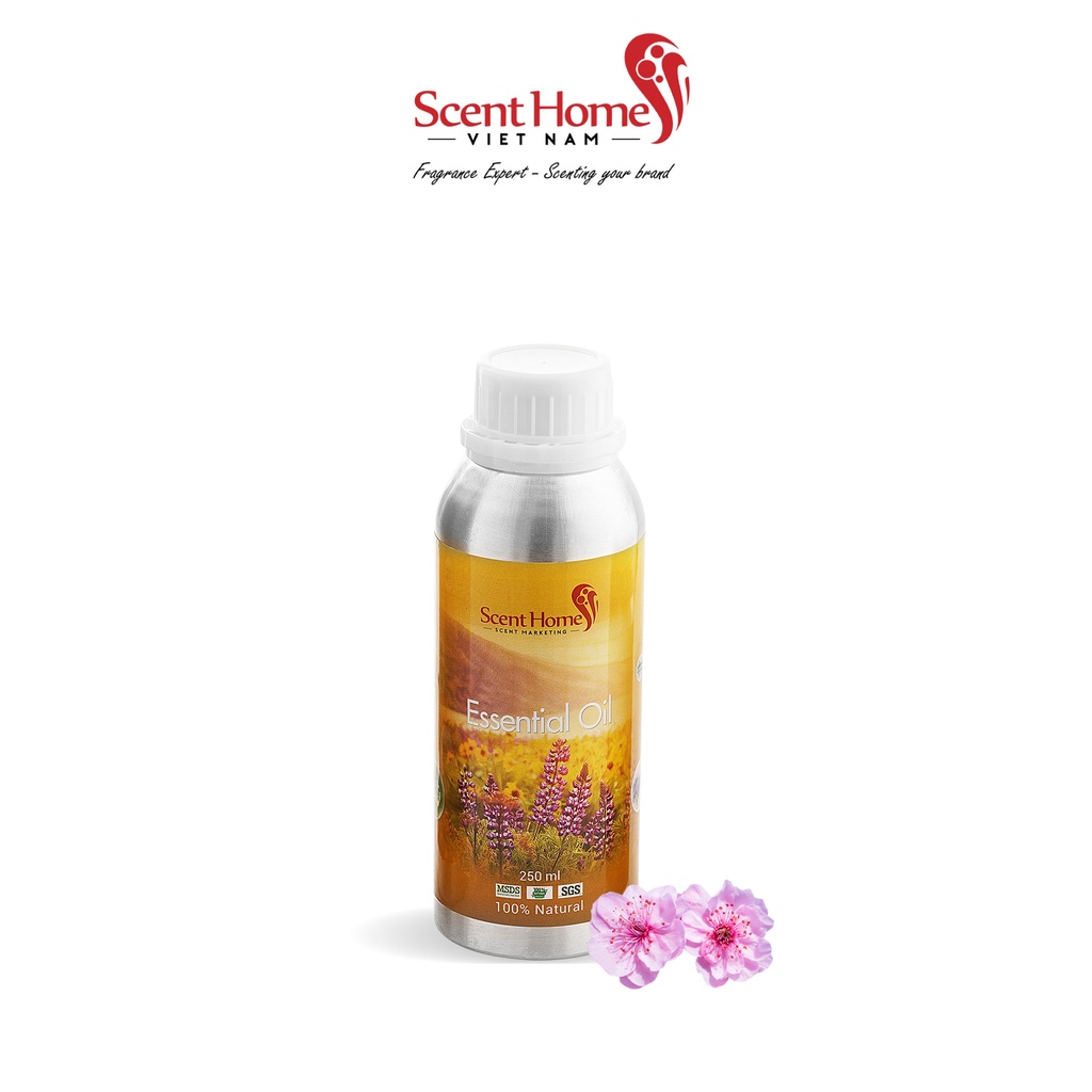 [Chính hãng] Tinh dầu Peach Blossoms - Scent Homes (Peach Blossoms - 50ml,100ml,250ml)