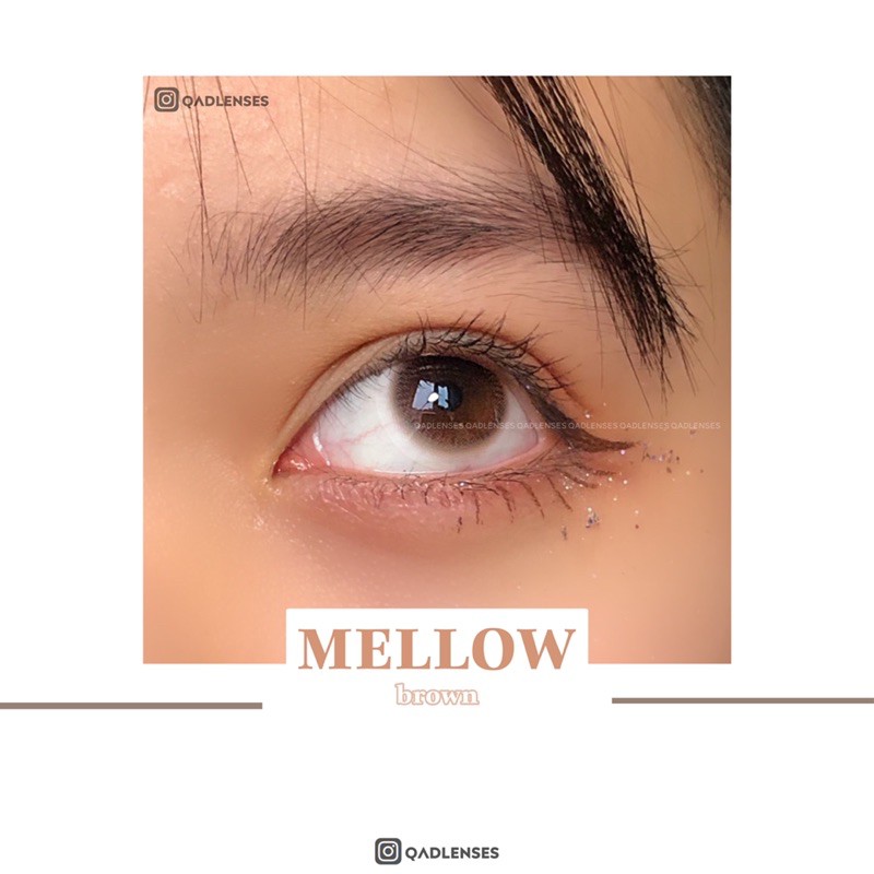 Mellow Brown Lens Khay nâu không lộ 1 xíu xiu - Kính áp tròng