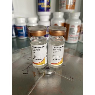 LINSPEC MỸ khò khè, sỗ mũi, tang cho gà đá 10ml