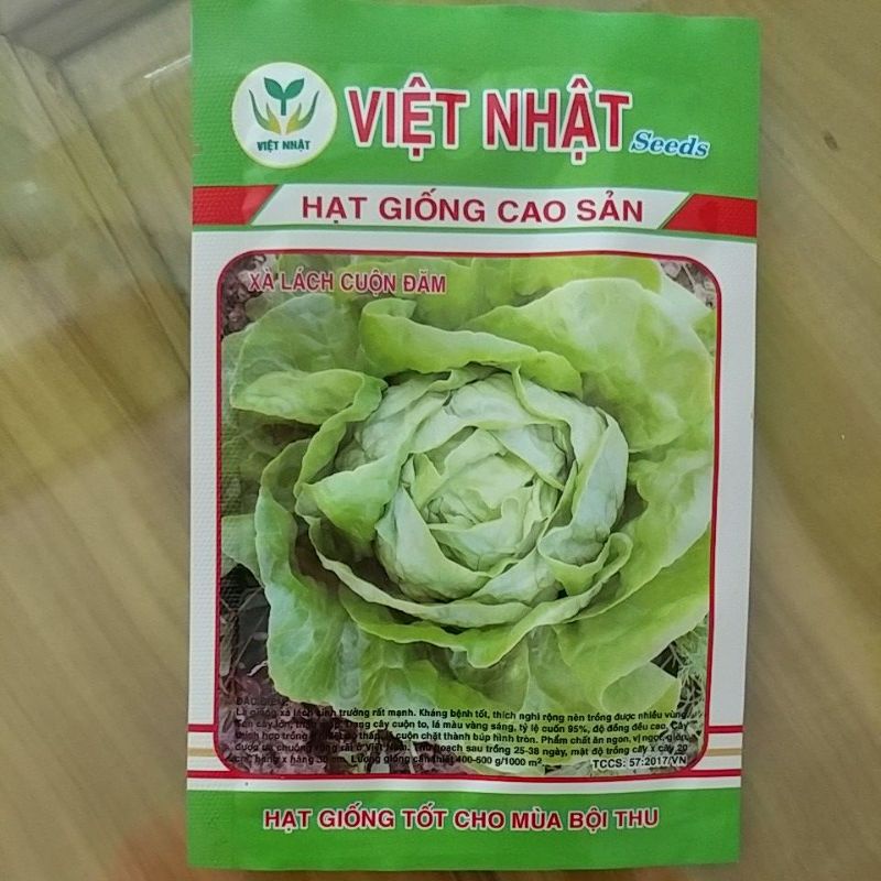 hạt giống xà lách cuộn đăm