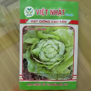 Hạt giống xà lách cuộn đăm