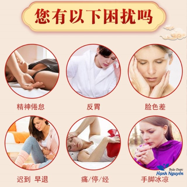 Bát Trân Thang (Xuyên Khung, Đương Quy, Thục Địa, Bạch Thược, Đẳng Sâm, Bạch Linh, Bạch Truật, Cam Thảo) - Bổ Khí Huyết