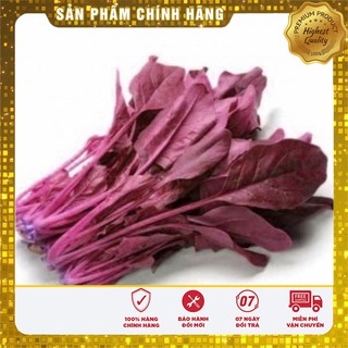 Hạt giống cải bó xôi đỏ ( gói 30 hạt)