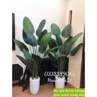 Cây giả - cây chuối giả 1,8m - 13 lá mờ xịn - ảnh thật