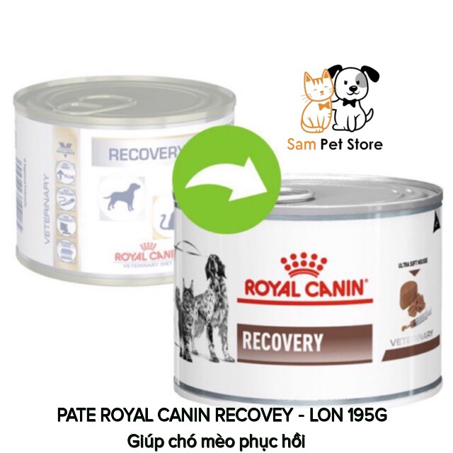 Pate phục hồi cho chó mèo Royal Canin Recovery (195g)