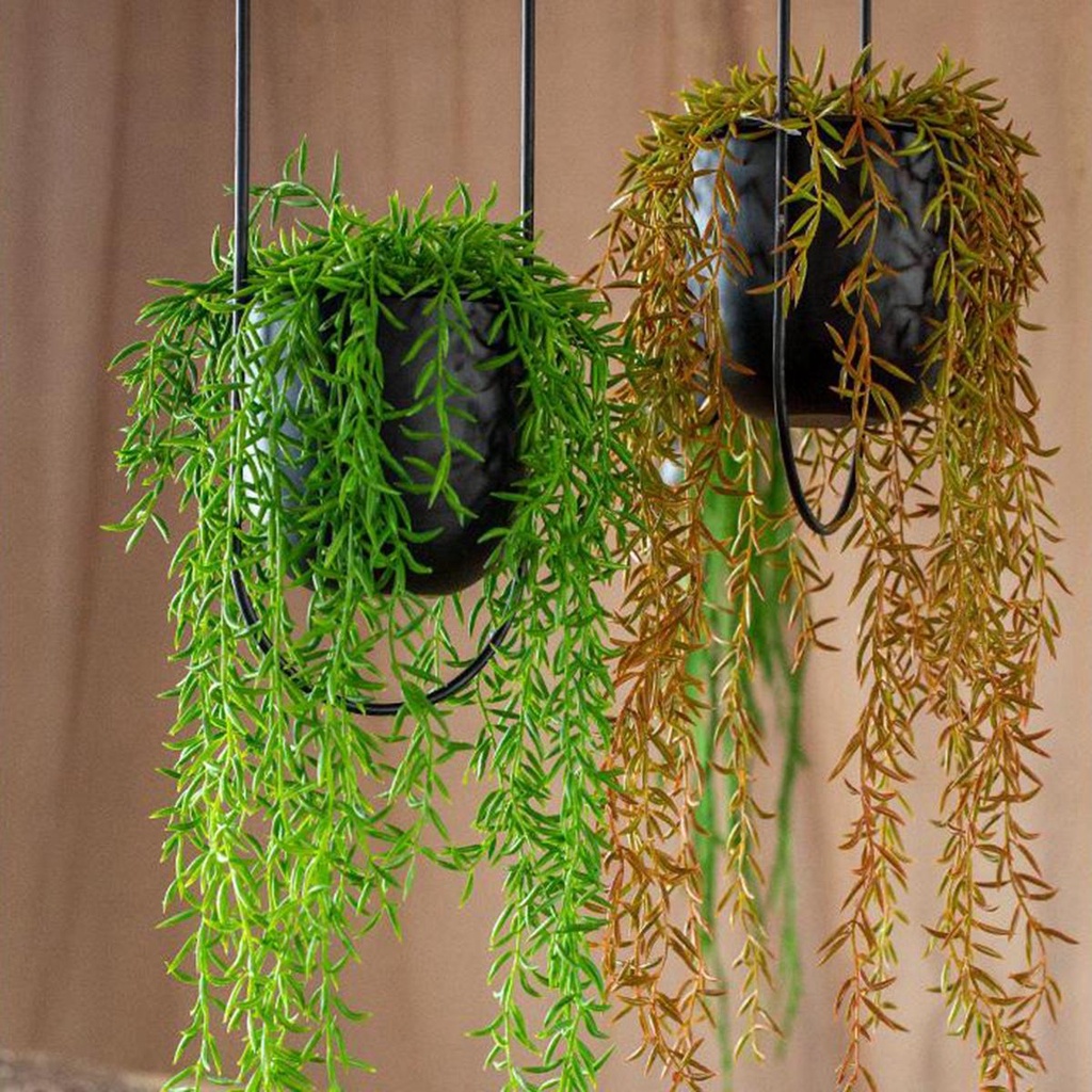 Chậu Hoa Treo Tường &amp; Trần Nhà Bằng Kim Loại Trang Trí Nhà Cửa