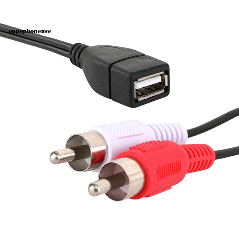 Cáp Chuyển Đổi Âm Thanh Từ Đầu Usb A Cái Sang 2 Rca Đực