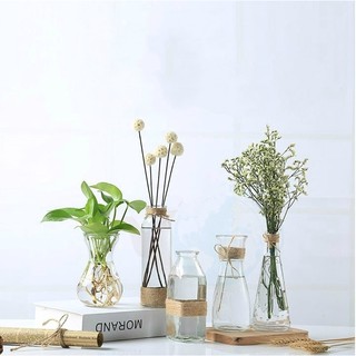 Bình thủy tinh cắm hoa phong cách Bắc Âu vintage, Lọ hoa thủy tinh trang trí dây thừng cực đẹp