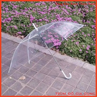 Ô Trong Suốt Màu Trắng