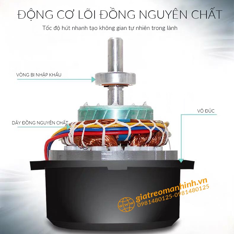 Quạt Hút Gió Quạt Thông Gió Nhà Xưởng Nhà Hàng FD250, FD300 Sức Hút Lớn