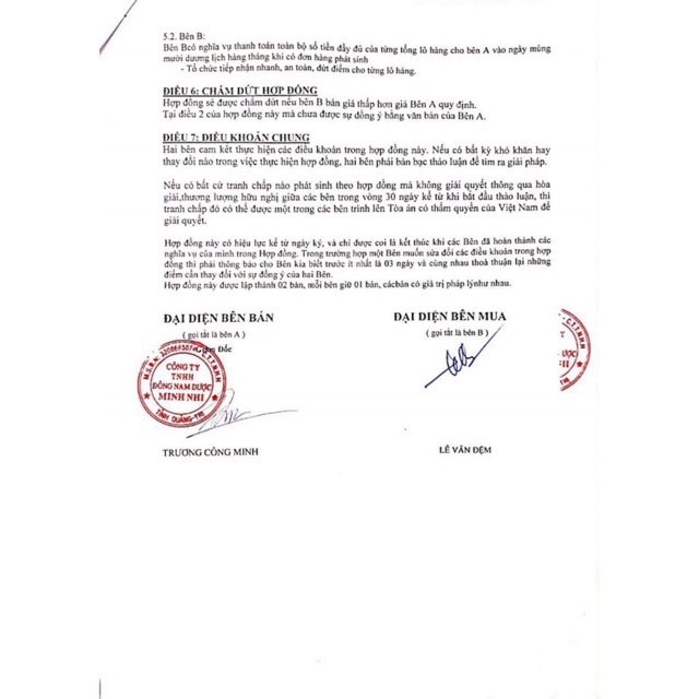 Chè Vằng cao 1kg được 50 lá Quảng Trị | BigBuy360 - bigbuy360.vn