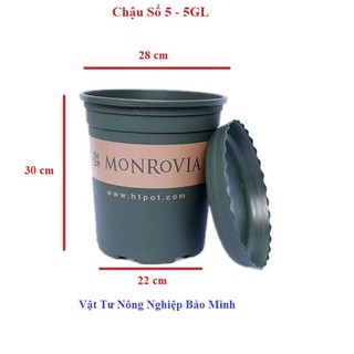 Chậu nhựa Monrovia TQ số 5 kèm đĩa lót đáy