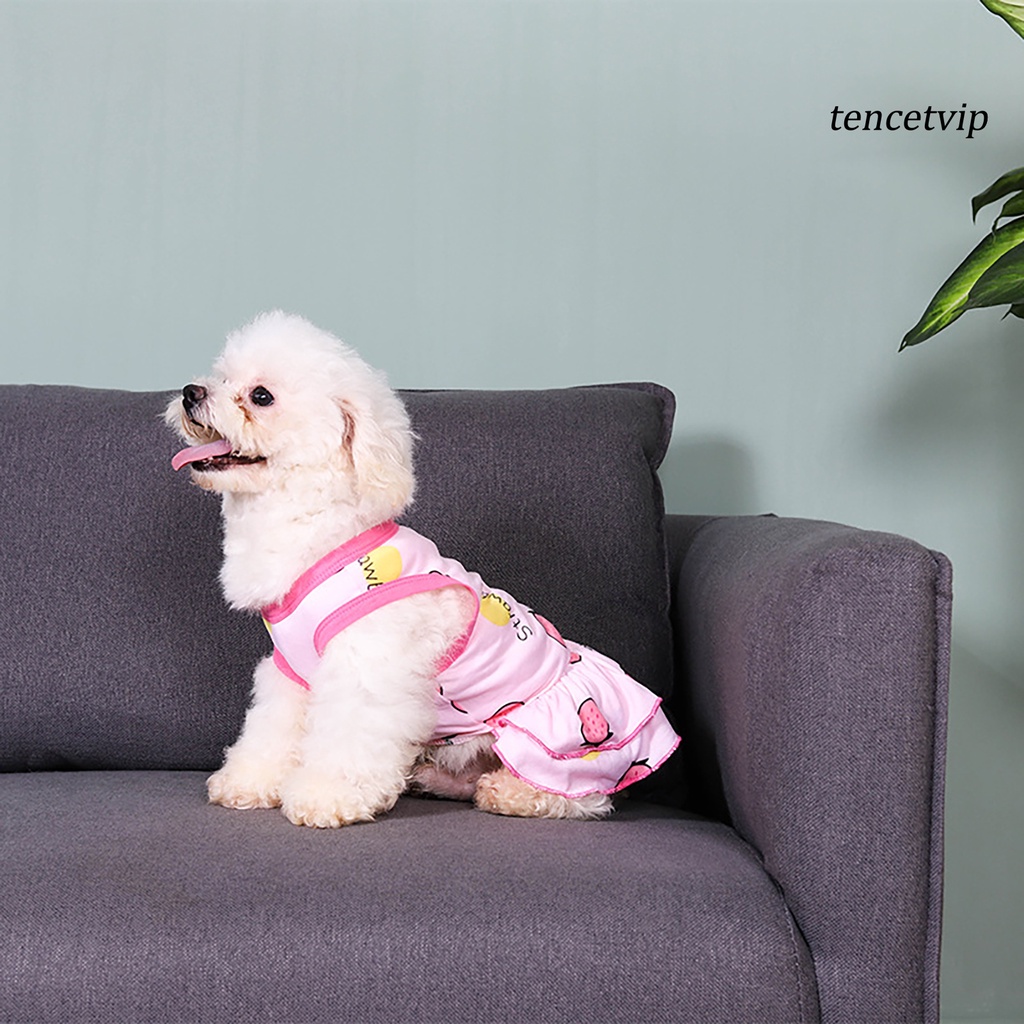 Đầm công chúa bằng cotton viền bèo in họa tiết trái cây cho thú cưng