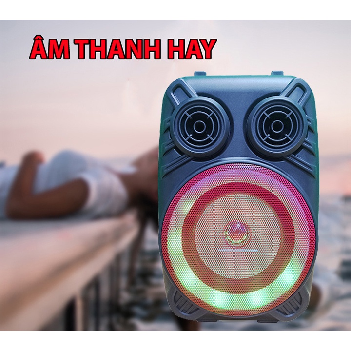 Loa Bluetooth 1206 Hát Karaoke Tặng Kèm Mic Hát Hay Nghe Nhạc Cực Đã Âm Bass Cực Mạnh Loa Bluetooth Mini Bảo Hành 1 Năm