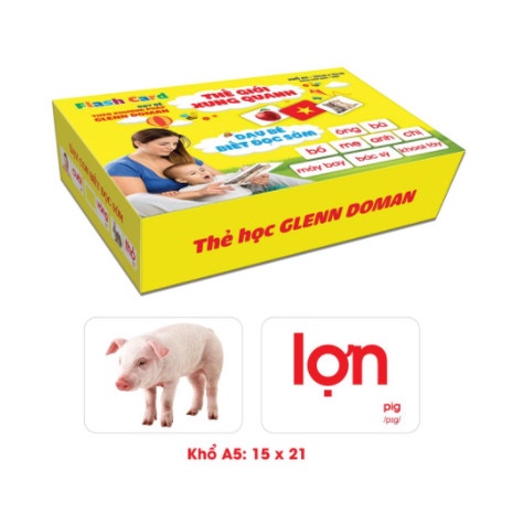 Thẻ Học Thông Minh cho bé loại to cứng  Đồ chơi giáo dục Flashcard cho bé GLENN DOMAN song ngữ