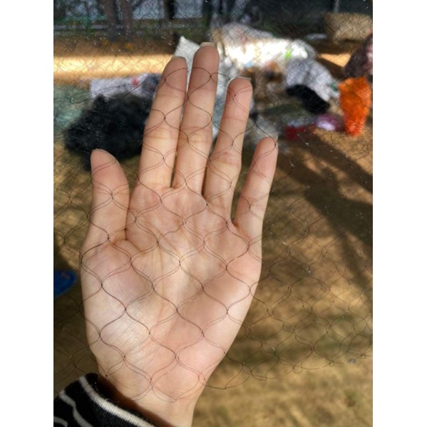 Lưới bẫy chim ri sẻ chào mào