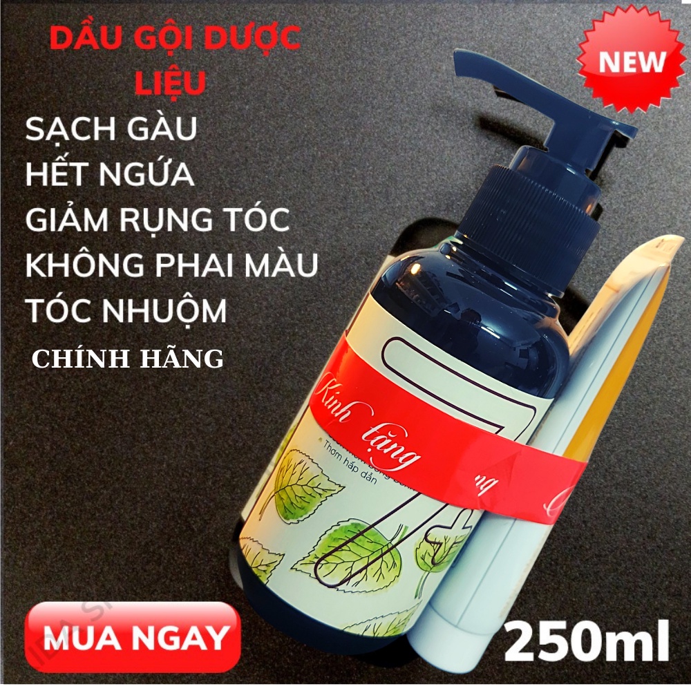 Dầu gội đầu Thái Dương 7 plus thảo dươc dược liệu thiên nhiên ngăn dụng hết gàu ngứa nuôi dưỡng tóc