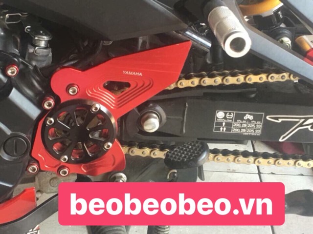 Mang cá che nhông exciter 150