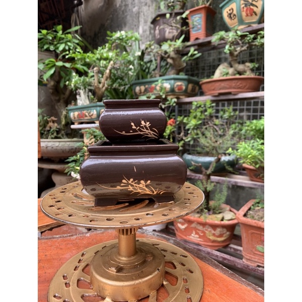 2 Vuông khum trông cây bonsai siêu mini trồng thạch xương bồ