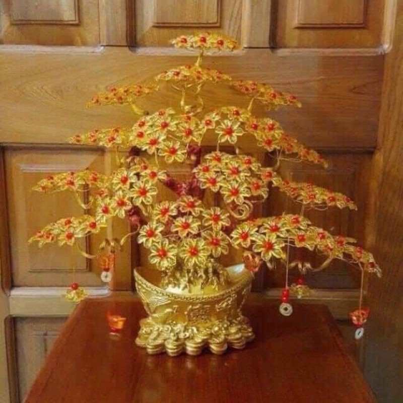 ❤️❤️Cây kim tiền phát tài