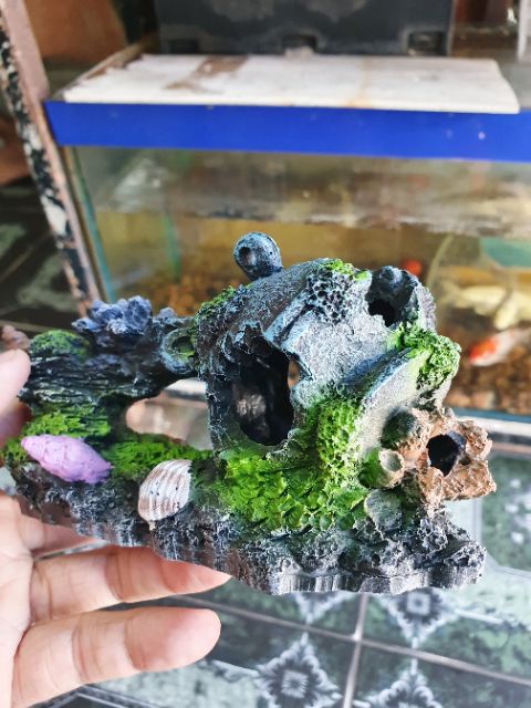 CẢNH TRANG TRÍ HỒ CÁ NON BỘ 13x4x7cm