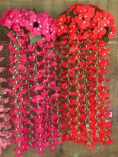 Lan vũ nữ dây treo tường
