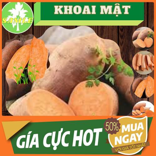 khoai mật mềm chảy size bi ký 14 củ trở lên