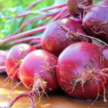 Hạt giống củ dền đỏ (tặng phân)