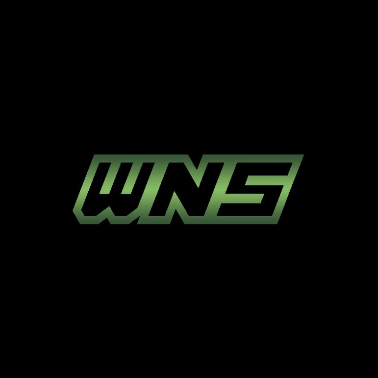 WNS - Why Not Studio