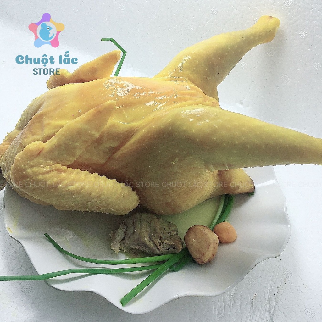 Gà ủ muối nguyên con không đầu có trứng chỉ giao hỏa tốc TPHCM tặng kèm nước chấm