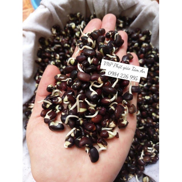 TRÀ GẠO LỨT ĐẬU ĐEN RANG TAY | BigBuy360 - bigbuy360.vn