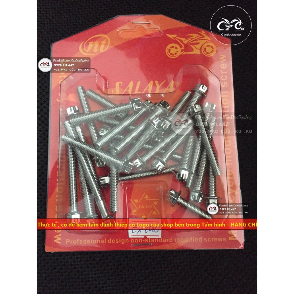 Bộ ốc lốc máy salaya EX150 EX135 WINNER SI DREAM