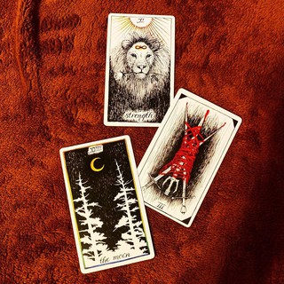 Bộ bài The Wild Unknown Tarot Keepsake Bookset